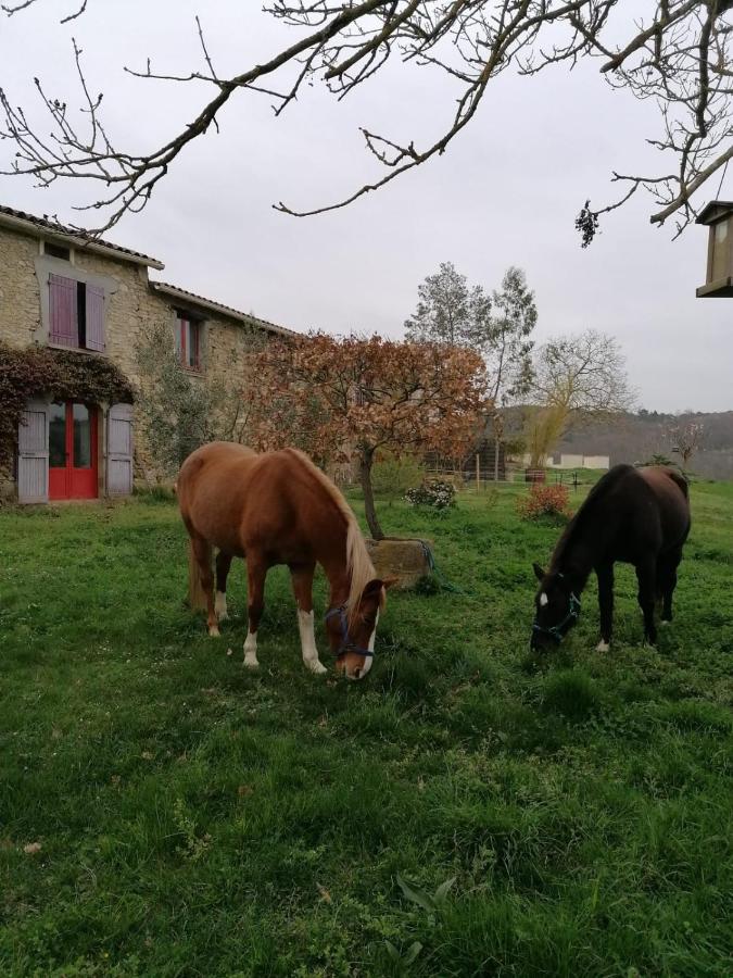 Villa Terres de Barréjat Cazals-des-Bayles Esterno foto